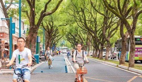长沙吃瓜公园,揭秘城市中的休闲新地标  第1张